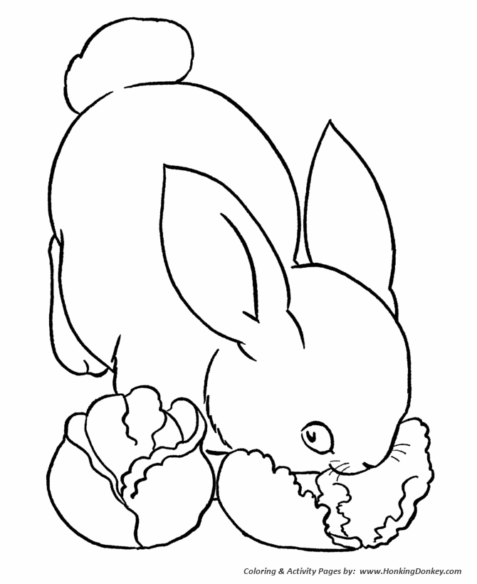 Bunny Rabbit Coloring Pages For Kids